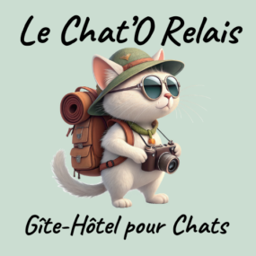 Illustration d'un chat avec sac à dos et appareil photo