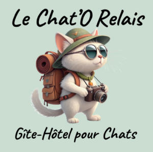 Illustration d'un chat avec sac à dos et appareil photo