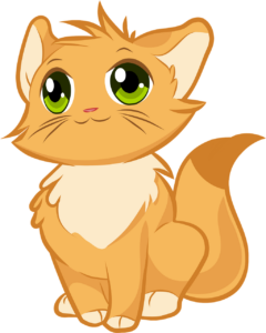 Soins d'hygiène et de beauté 