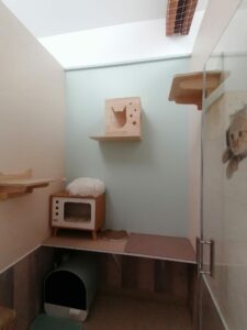 chambre avec tv